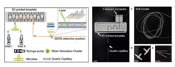 基于微流控技术的表面增强拉曼在细胞检测领域(图2)